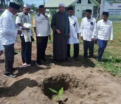 Pisang Cavendish