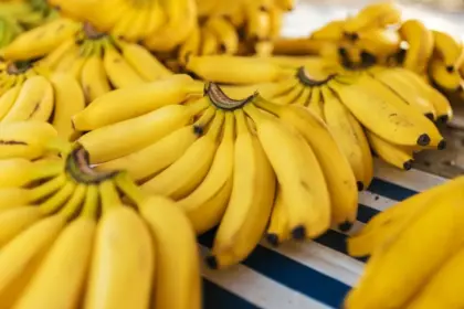 manfaat pisang cavendish